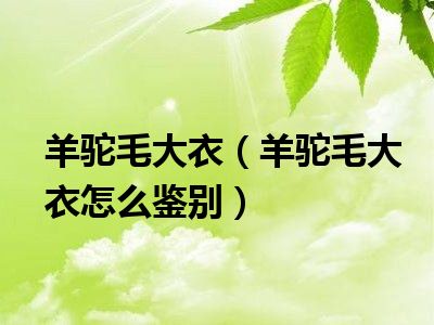 羊驼毛大衣（羊驼毛大衣怎么鉴别）