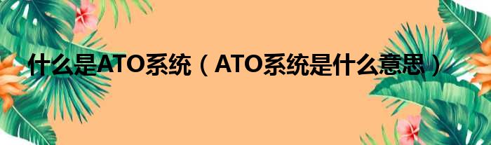 什么是ATO系统（ATO系统是什么意思）