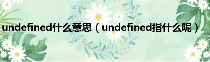 undefined什么意思（undefined指什么呢）