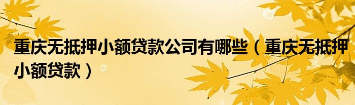  重庆无抵押小额贷款公司有哪些（重庆无抵押小额贷款）