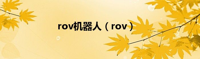  rov机器人（rov）