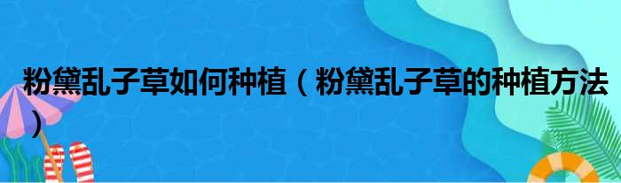 粉黛乱子草如何种植（粉黛乱子草的种植方法）