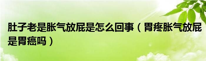  肚子老是胀气放屁是怎么回事（胃疼胀气放屁是胃癌吗）