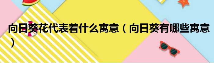 向日葵花代表着什么寓意（向日葵有哪些寓意）