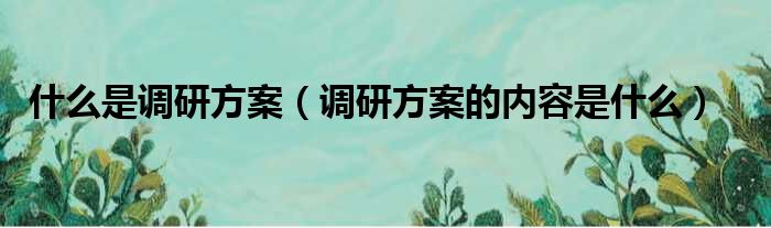 什么是调研方案（调研方案的内容是什么）