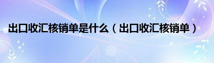  出口收汇核销单是什么（出口收汇核销单）