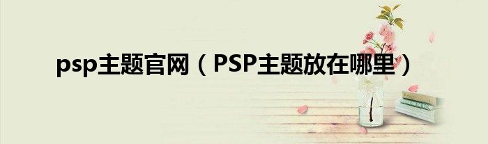  psp主题官网（PSP主题放在哪里）