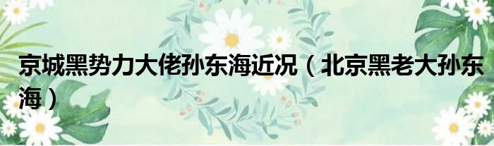 京城黑势力大佬孙东海近况（北京黑老大孙东海）