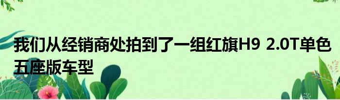 我们从经销商处拍到了一组红旗H9 2.0T单色五座版车型