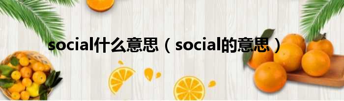 social什么意思（social的意思）