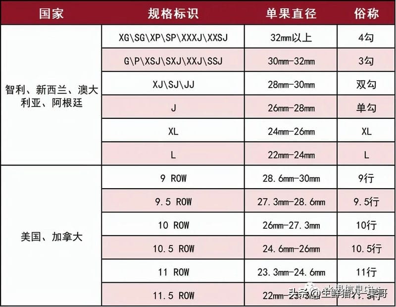 车厘子的级别怎么看（车厘子怎么分几个j）(图2)