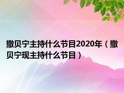 撒贝宁主持什么节目2020年（撒贝宁现主持什么节目）