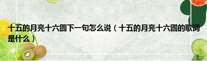 十五的月亮十六圆下一句怎么说（十五的月亮十六圆的歌词是什么）