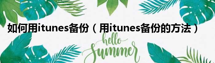 如何用itunes备份（用itunes备份的方法）