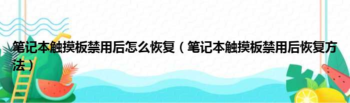 笔记本触摸板禁用后怎么恢复（笔记本触摸板禁用后恢复方法）