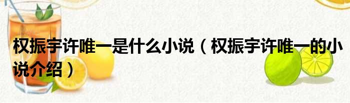 权振宇许唯一是什么小说（权振宇许唯一的小说介绍）