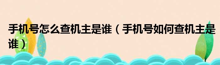 手机号怎么查机主是谁（手机号如何查机主是谁）