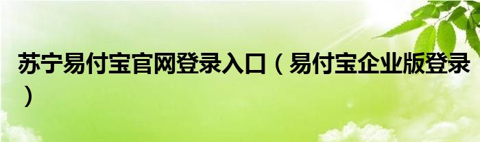  苏宁易付宝官网登录入口（易付宝企业版登录）