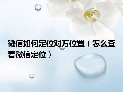 微信如何定位对方位置（怎么查看微信定位）