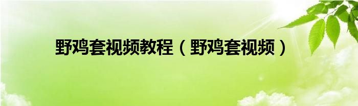  野鸡套视频教程（野鸡套视频）