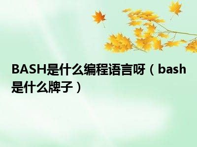 BASH是什么编程语言呀（bash是什么牌子）