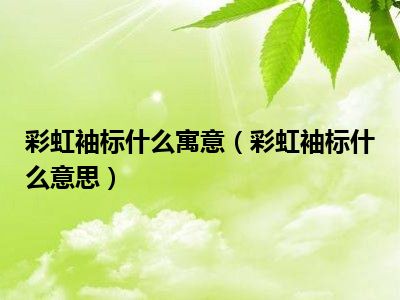 彩虹袖标什么寓意（彩虹袖标什么意思）