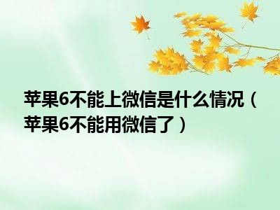 苹果6不能上微信是什么情况（苹果6不能用微信了）