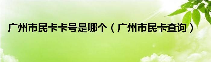  广州市民卡卡号是哪个（广州市民卡查询）