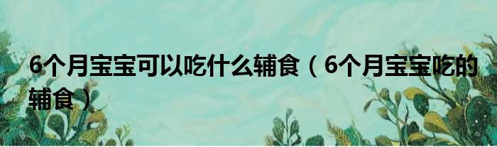 6个月宝宝可以吃什么辅食（6个月宝宝吃的辅食）