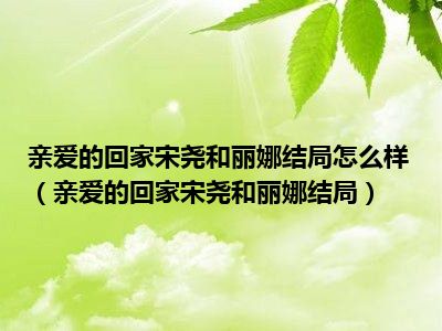 亲爱的回家宋尧和丽娜结局怎么样（亲爱的回家宋尧和丽娜结局）