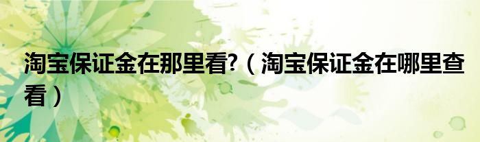  淘宝保证金在那里看 （淘宝保证金在哪里查看）