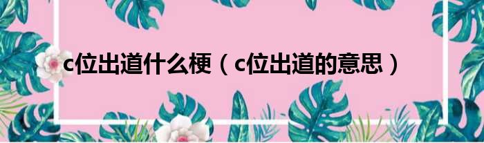 c位出道什么梗（c位出道的意思）