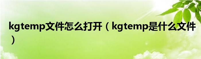  kgtemp文件怎么打开（kgtemp是什么文件）