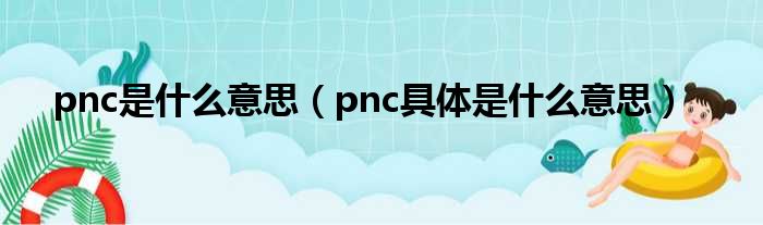 pnc是什么意思（pnc具体是什么意思）