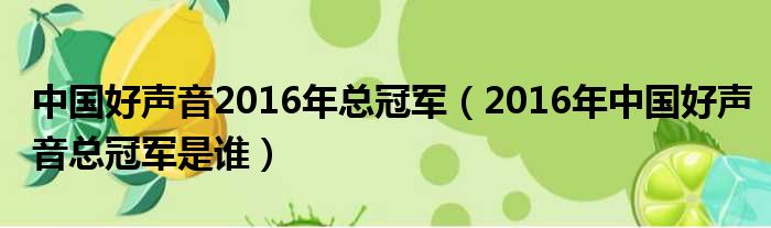 中国好声音2016年总冠军（2016年中国好声音总冠军是谁）