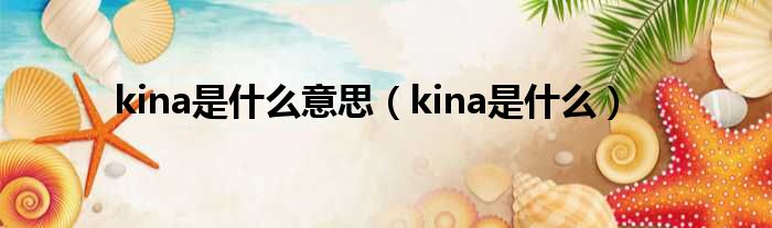 kina是什么意思（kina是什么）