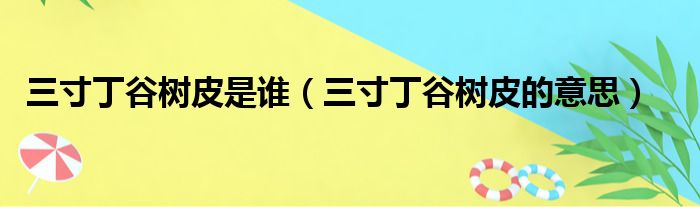 三寸丁谷树皮是谁（三寸丁谷树皮的意思）