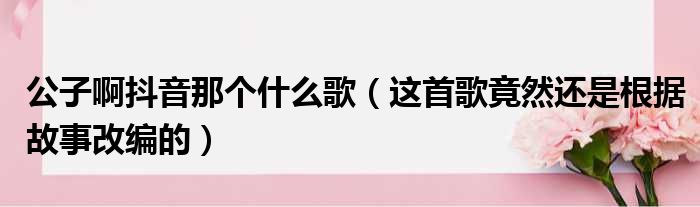 公子啊抖音那个什么歌（这首歌竟然还是根据故事改编的）