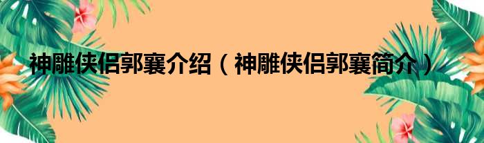 神雕侠侣郭襄介绍（神雕侠侣郭襄简介）