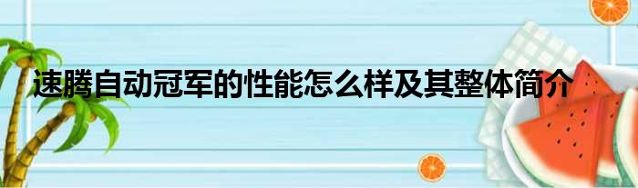 速腾自动冠军的性能怎么样及其整体简介