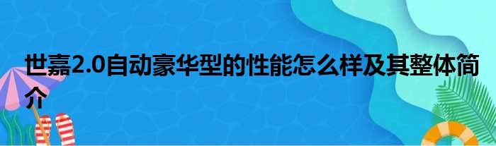 世嘉2.0自动豪华型的性能怎么样及其整体简介