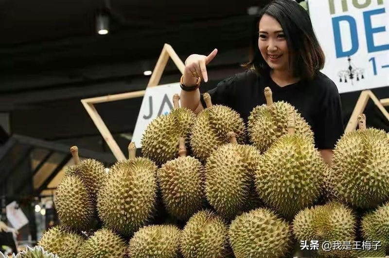 怎么挑选果肉饱满的榴莲（榴莲怎么选才是最好的皮薄肉多）(图4)