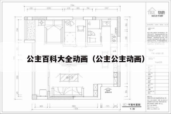 公主百科大全动画（公主公主动画）