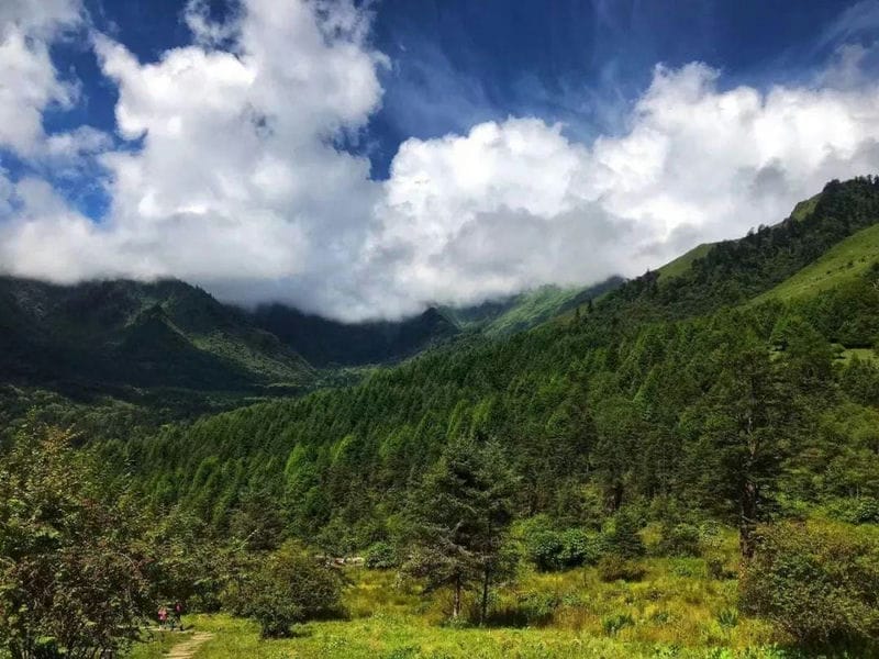 宝兴县神木垒海拔高度（神木垒海拔最高多少米）(图9)