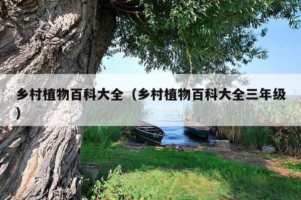 乡村植物百科大全（乡村植物百科大全三年级）