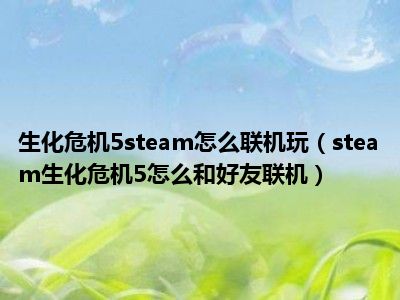 生化危机5steam怎么联机玩（steam生化危机5怎么和好友联机）