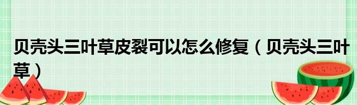 贝壳头三叶草皮裂可以怎么修复（贝壳头三叶草）