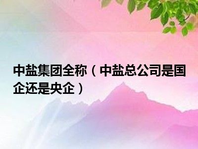 中盐集团全称（中盐总公司是国企还是央企）