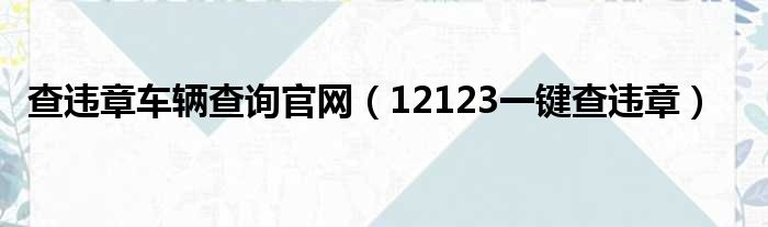 查违章车辆查询官网（12123一键查违章）