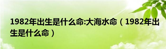  1982年出生是什么命:大海水命（1982年出生是什么命）